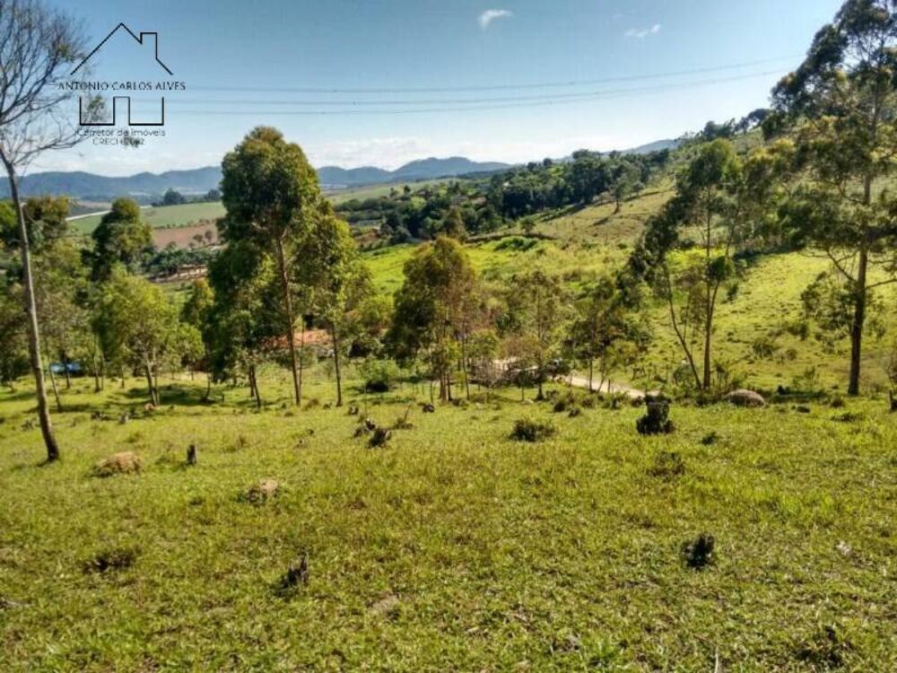 Chácara, 2 quartos, 2 hectares - Foto 3