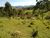 Chácara, 2 quartos, 2 hectares - Foto 2