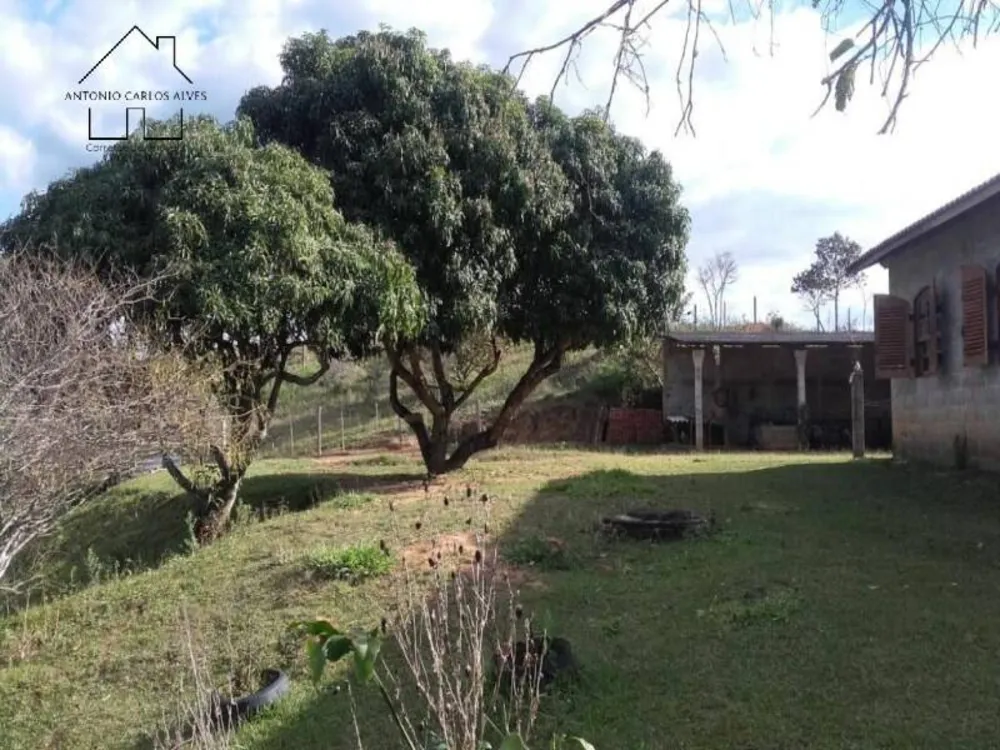 Sítio, 3 quartos, 5100 m² - Foto 13
