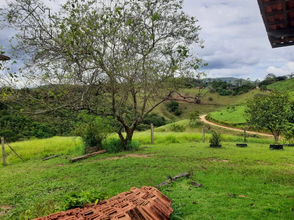 Sítio, 3 quartos, 5100 m² - Foto 6