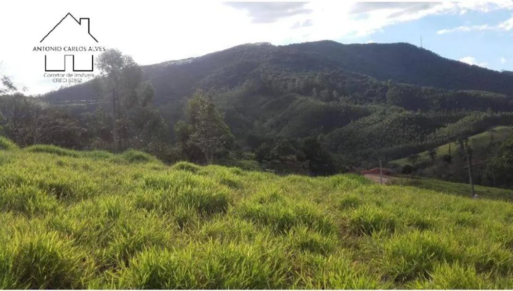Sítio, 3 quartos, 5100 m² - Foto 7