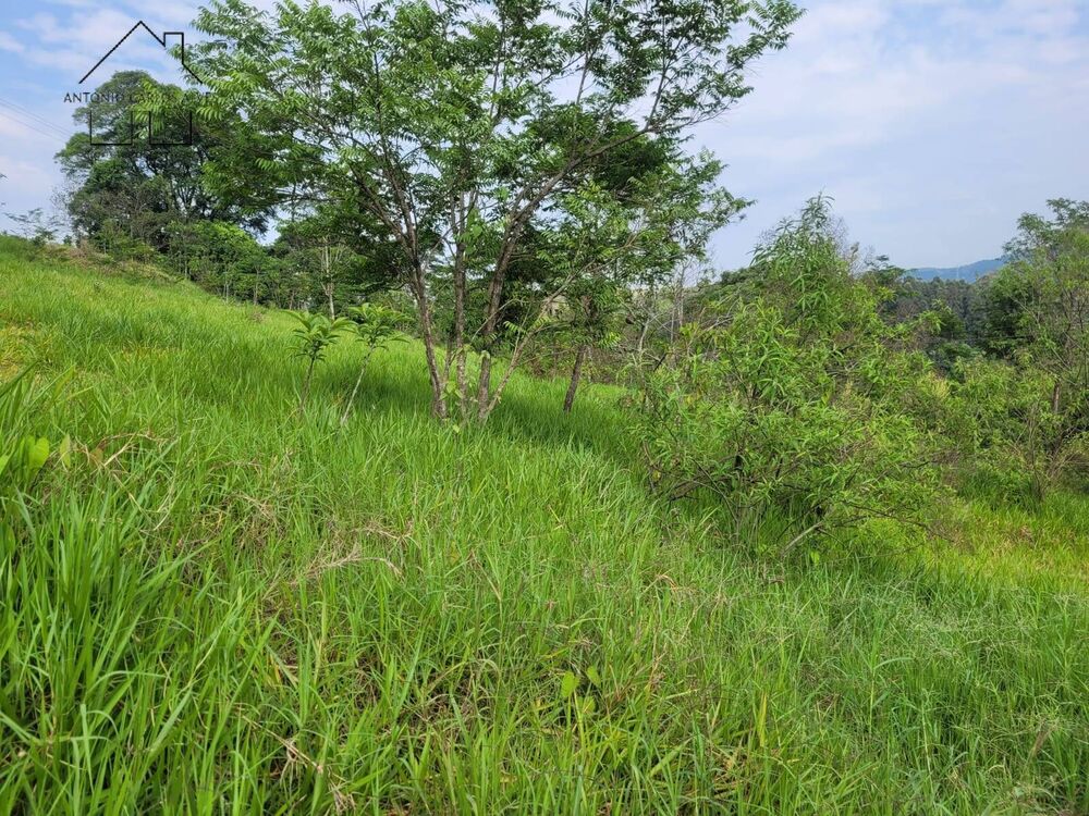 Prédio Inteiro - Foto 2