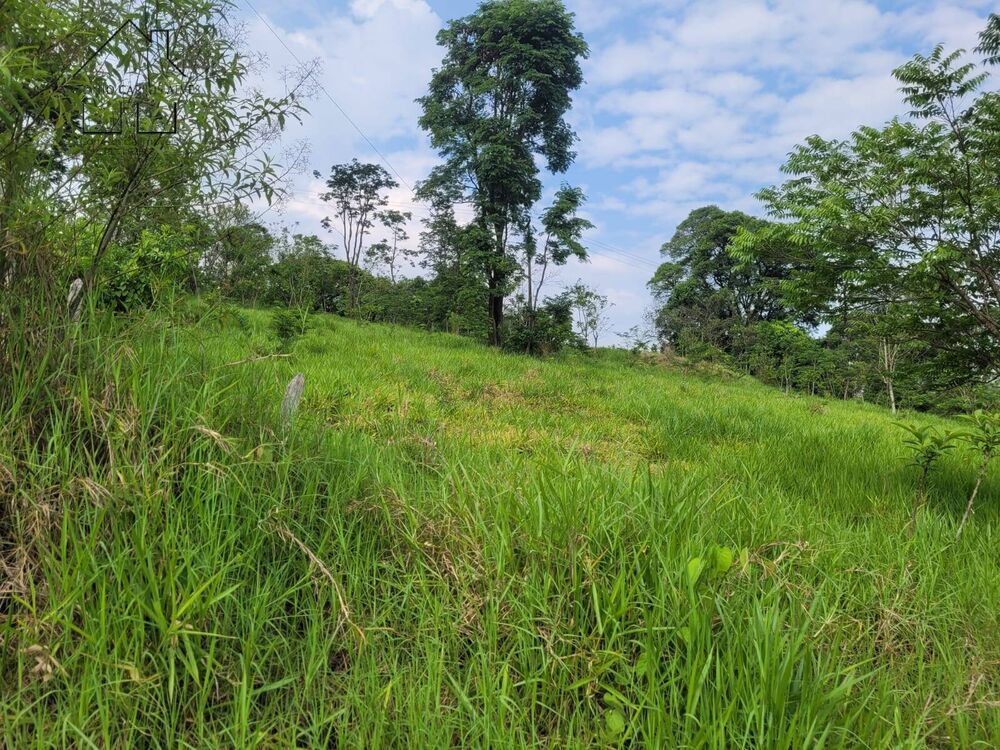 Prédio Inteiro - Foto 4