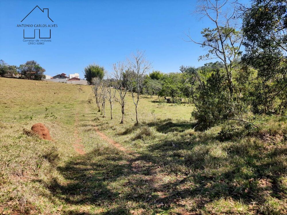 Terreno, 2 hectares - Foto 4