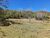 Terreno, 2 hectares - Foto 2