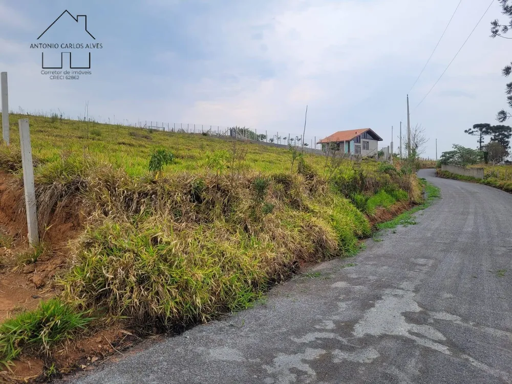 Terreno, 2 hectares - Foto 8