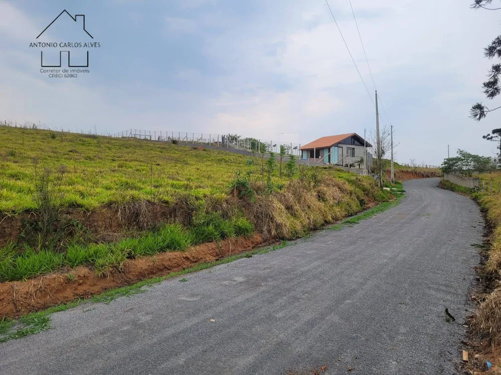Terreno, 2 hectares - Foto 6