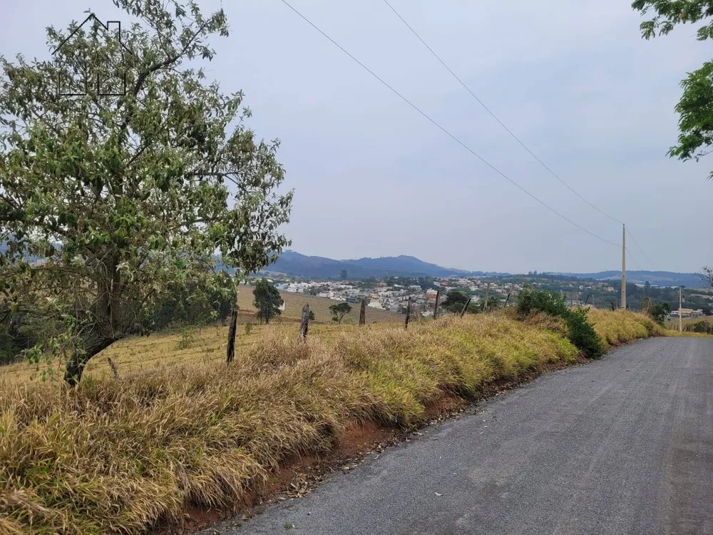 Terreno, 2 hectares - Foto 7