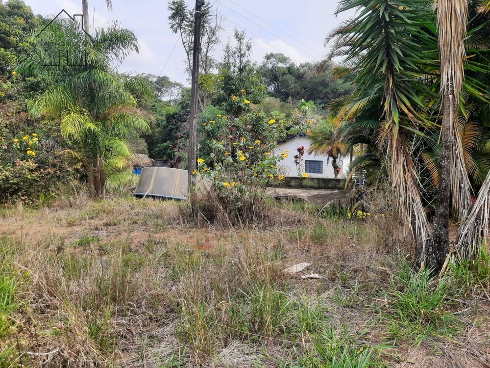 Chácara, 2 quartos, 2 hectares - Foto 4
