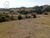 Sítio, 3 quartos, 53 hectares - Foto 1