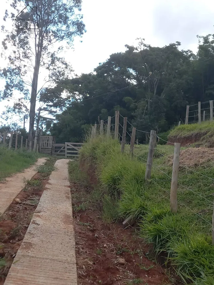 Sítio, 3 quartos, 4 hectares - Foto 20