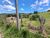 Terreno, 1700 m² - Foto 3