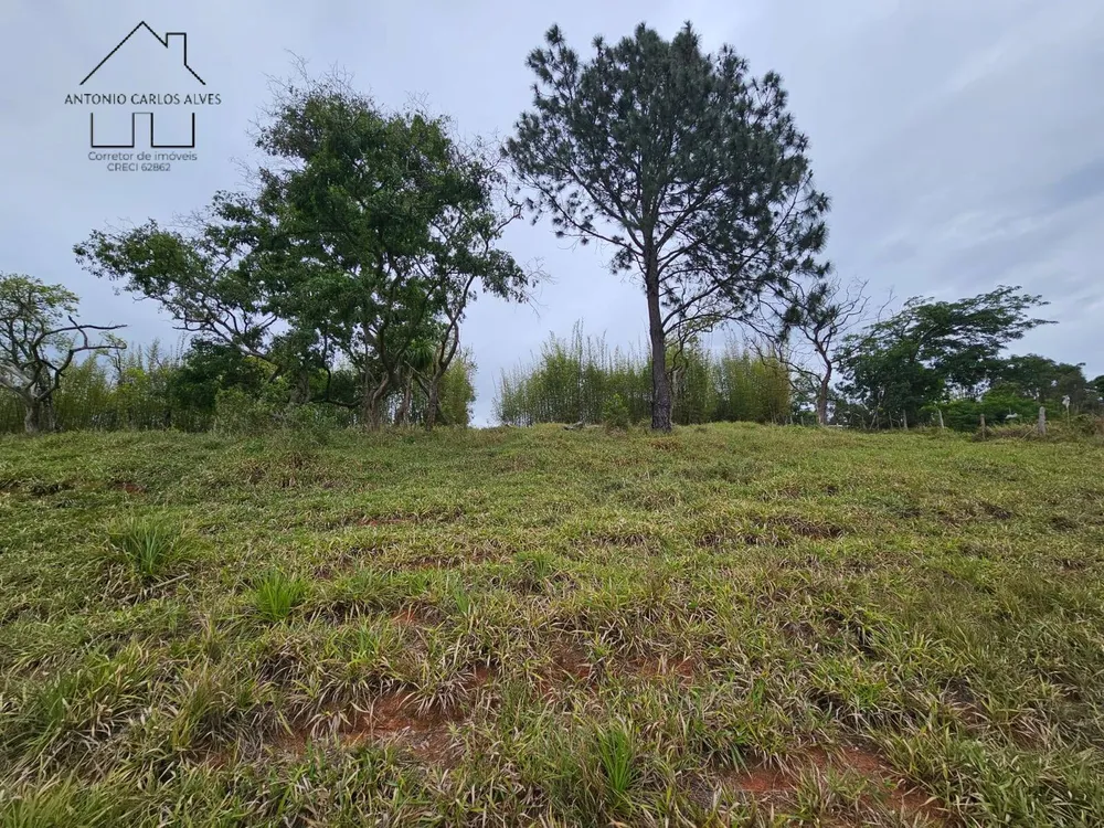 Terreno, 3431 m² - Foto 4