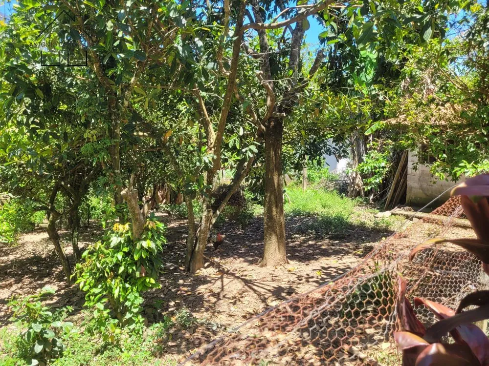 Chácara, 2 quartos, 2500 m² - Foto 4