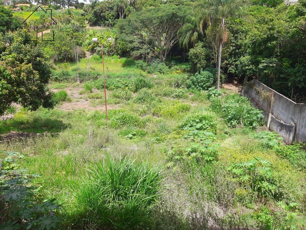 Sítio, 3 quartos, 3187 m² - Foto 4