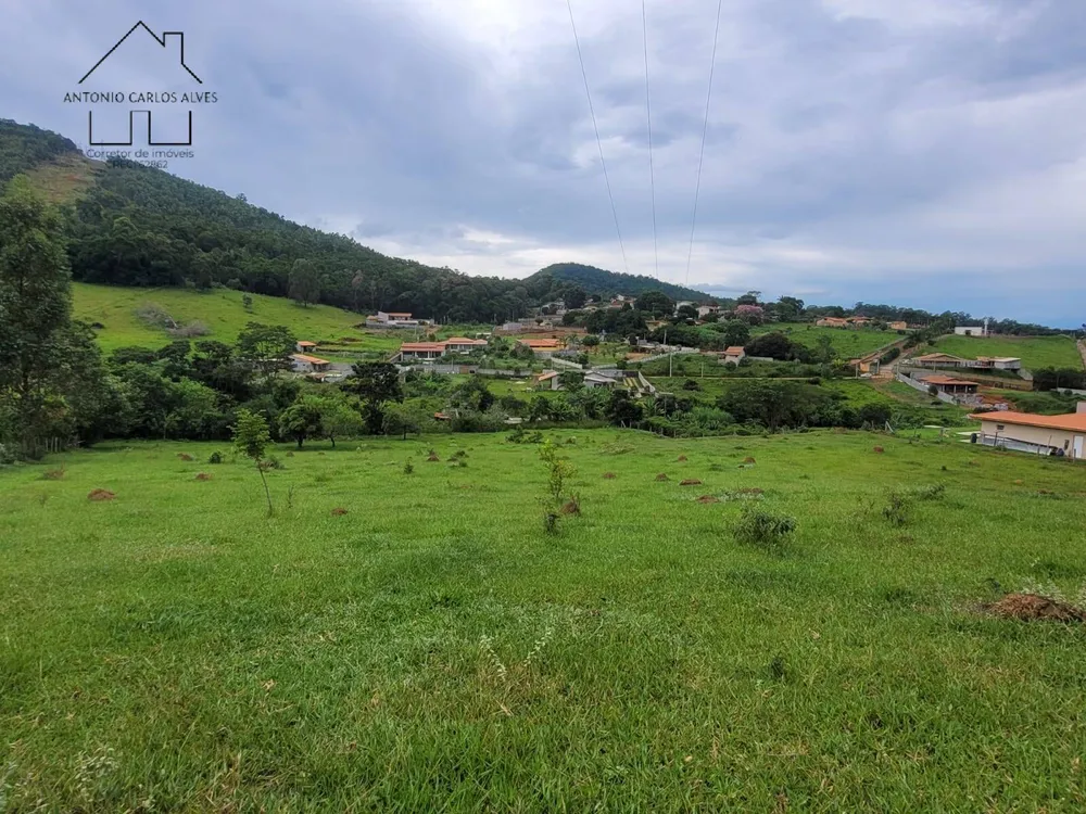 Terreno, 2 hectares - Foto 6