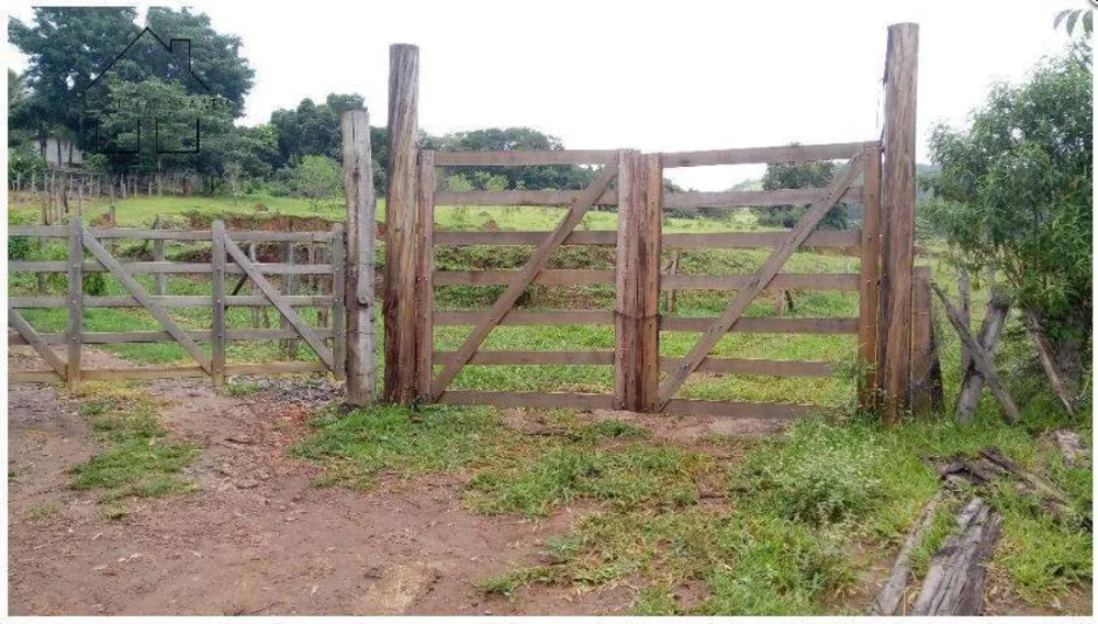 Terreno, 2 hectares - Foto 2