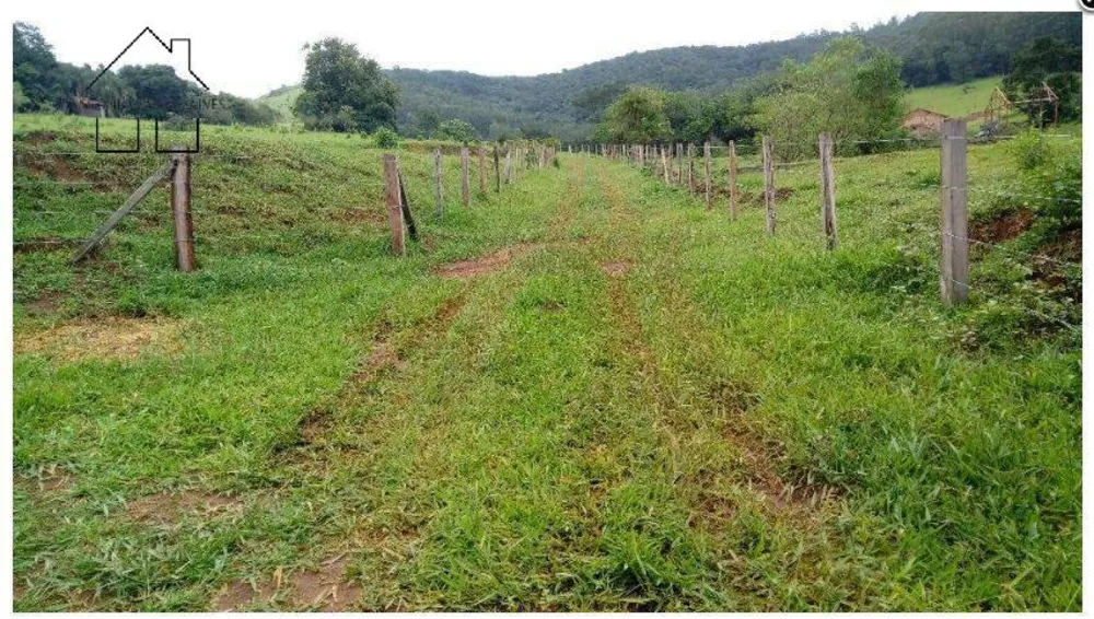 Terreno, 2 hectares - Foto 3