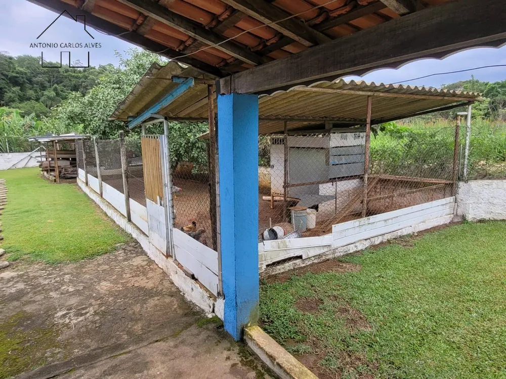 Sítio, 1 quarto, 6036 m² - Foto 11