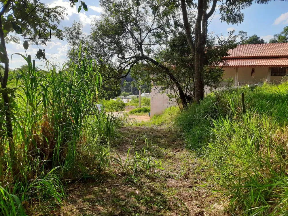 Terreno, 2837 m² - Foto 8
