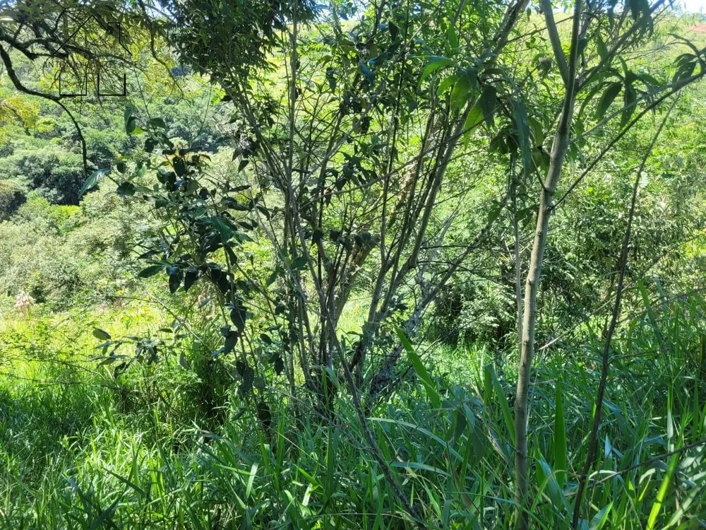 Terreno, 1678 m² - Foto 7
