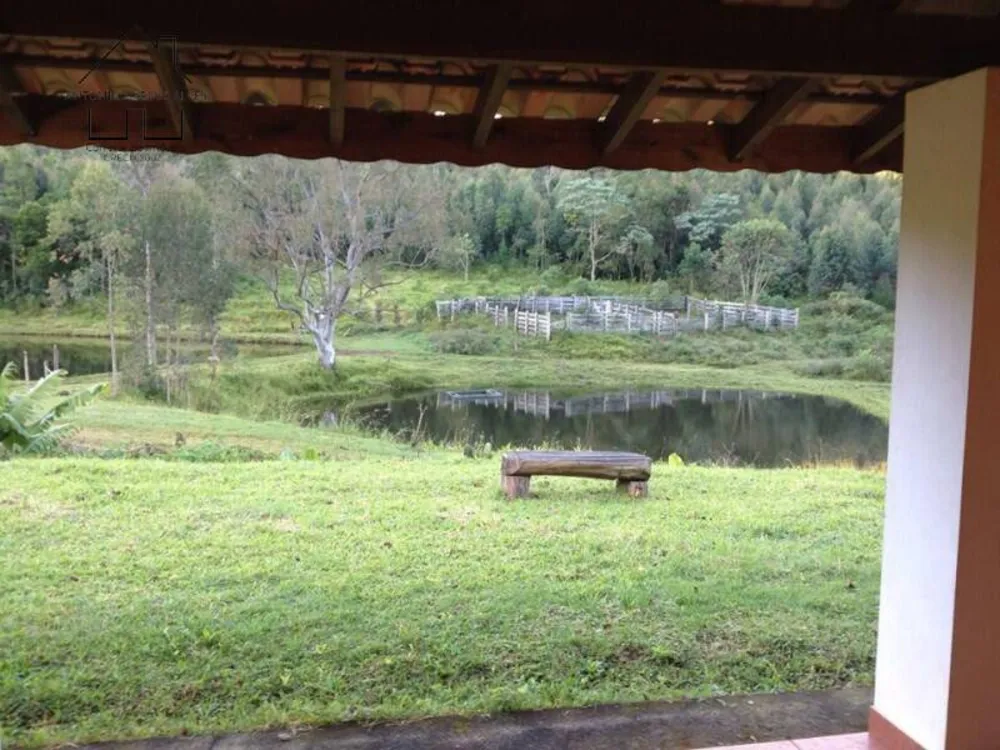 Fazenda, 61 hectares - Foto 10