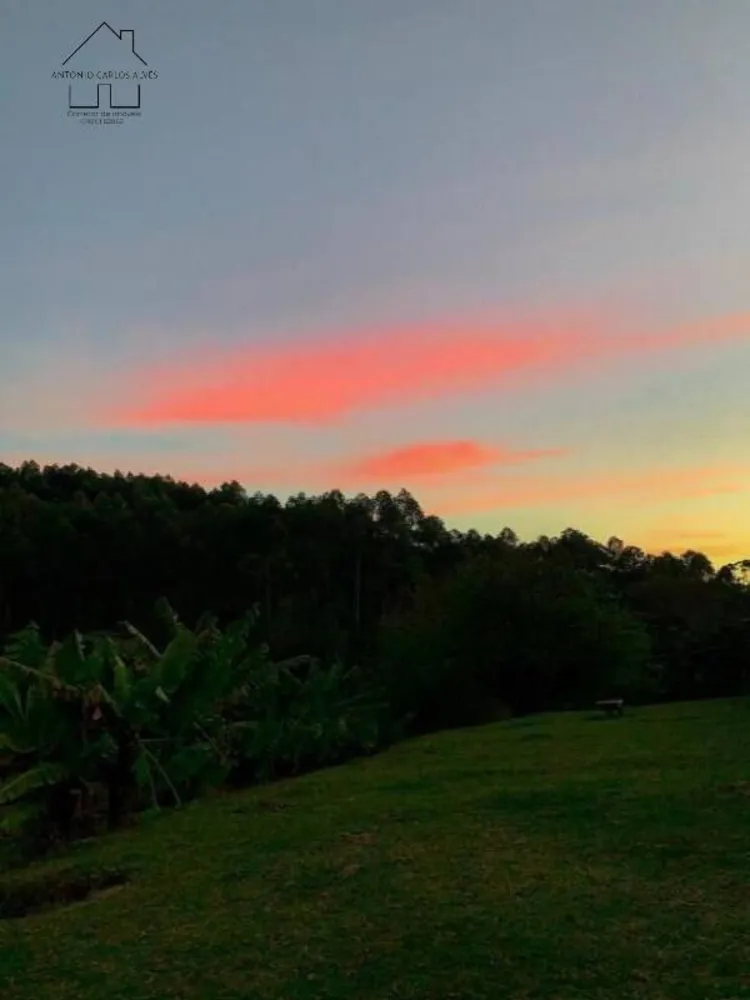 Fazenda, 61 hectares - Foto 7