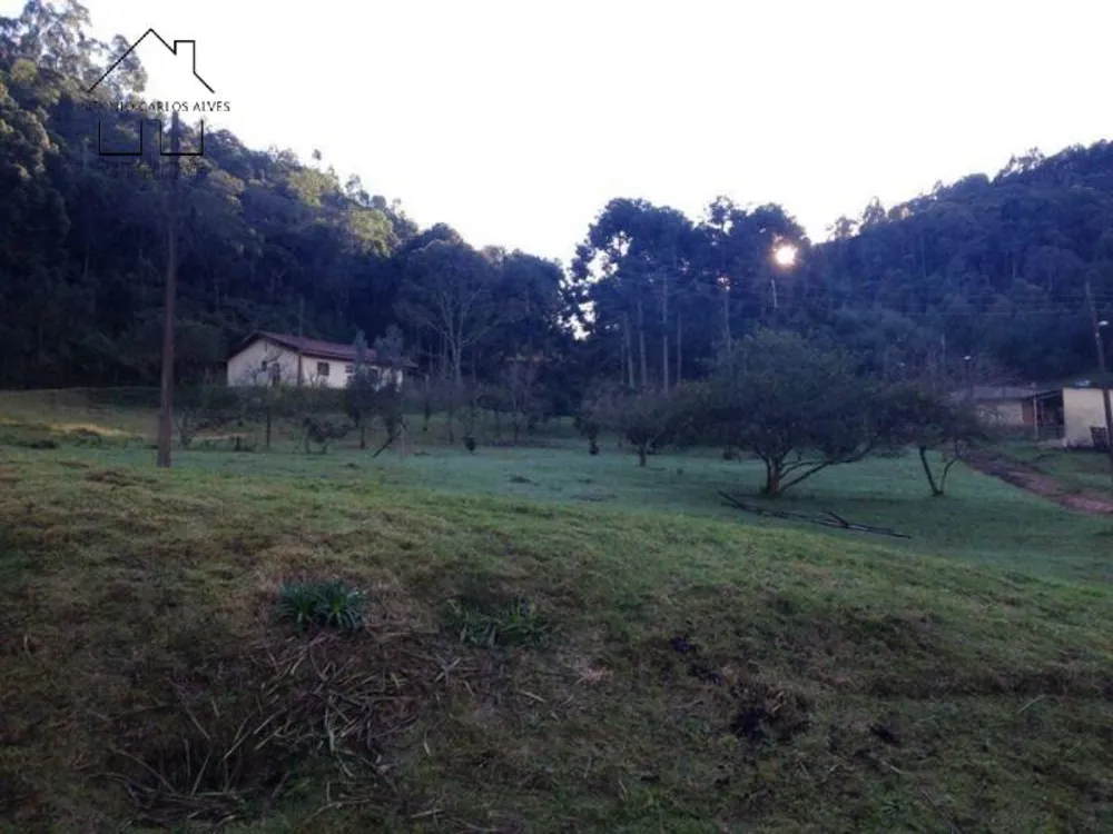 Fazenda, 61 hectares - Foto 8