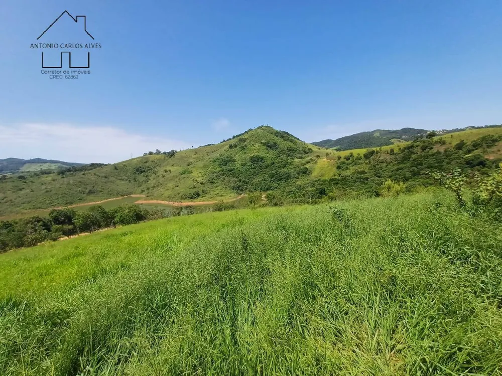 Terreno, 2 hectares - Foto 7