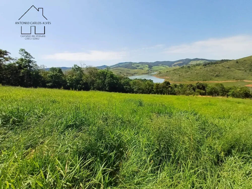 Terreno, 2 hectares - Foto 4