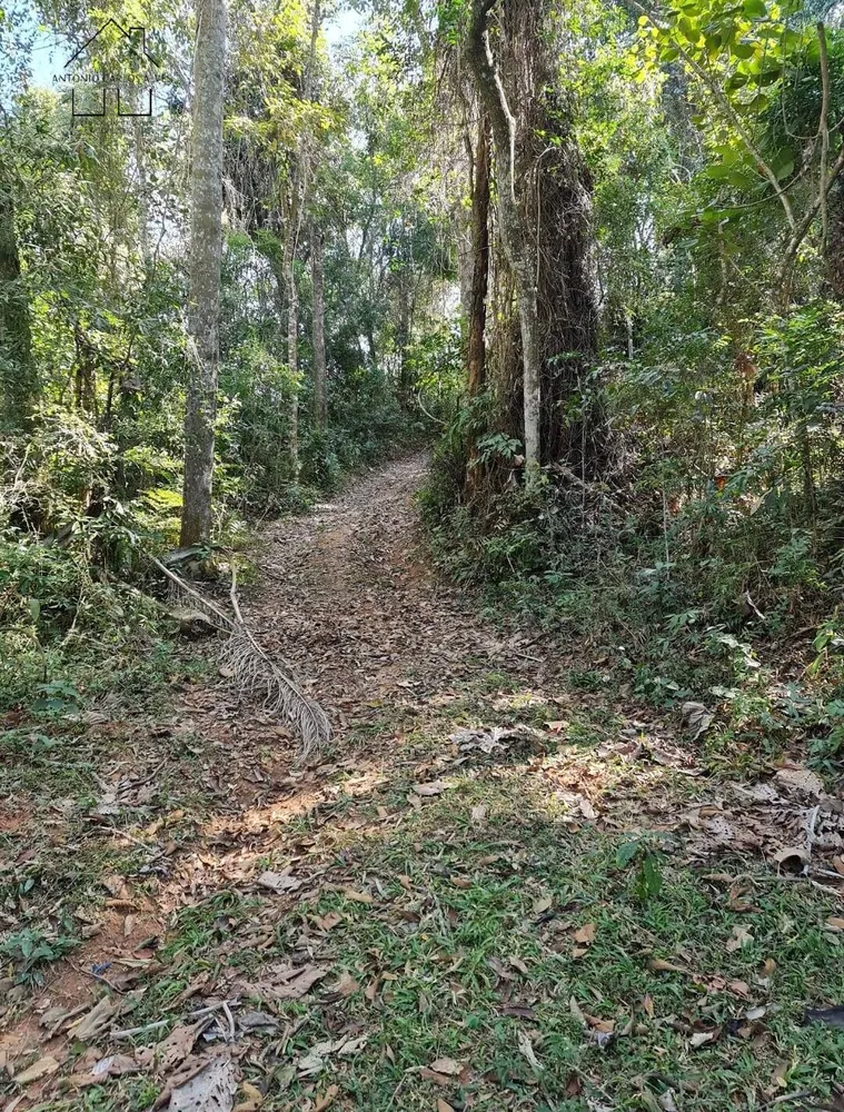 Terreno, 2 hectares - Foto 1