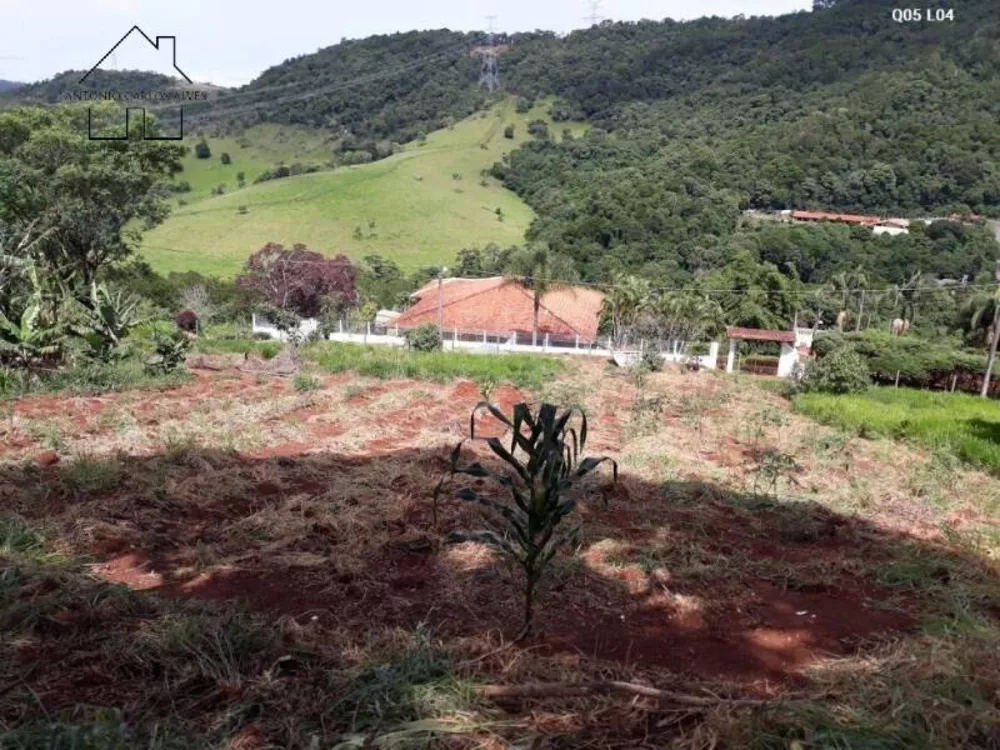 Terreno à venda, 2080m² - Foto 4