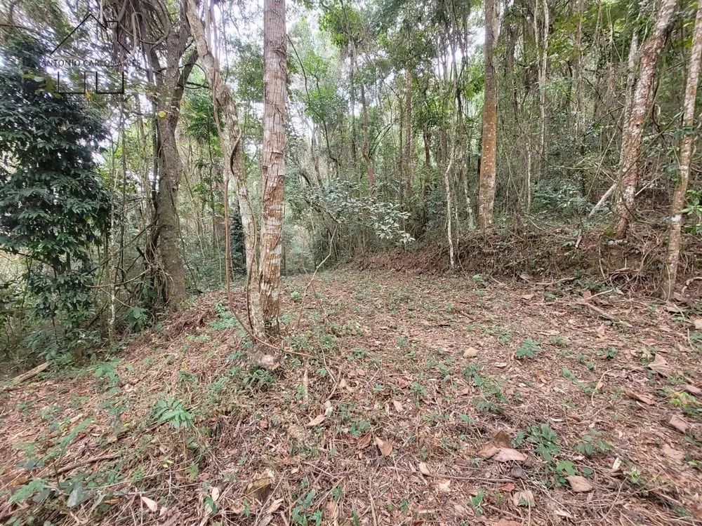 Terreno, 6 hectares - Foto 8