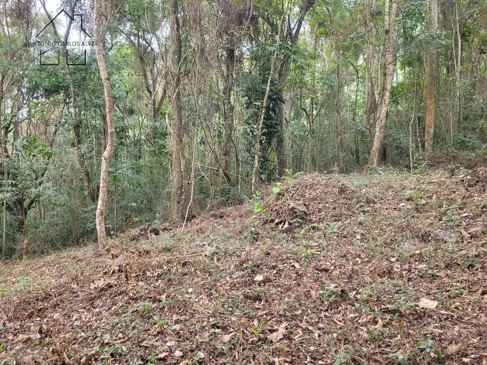 Terreno, 6 hectares - Foto 6