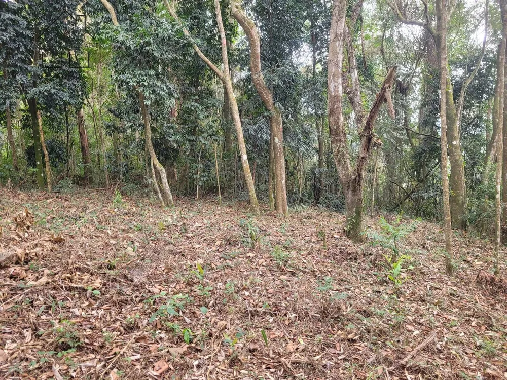 Terreno, 6 hectares - Foto 13