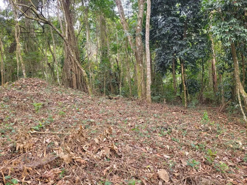 Terreno, 6 hectares - Foto 9