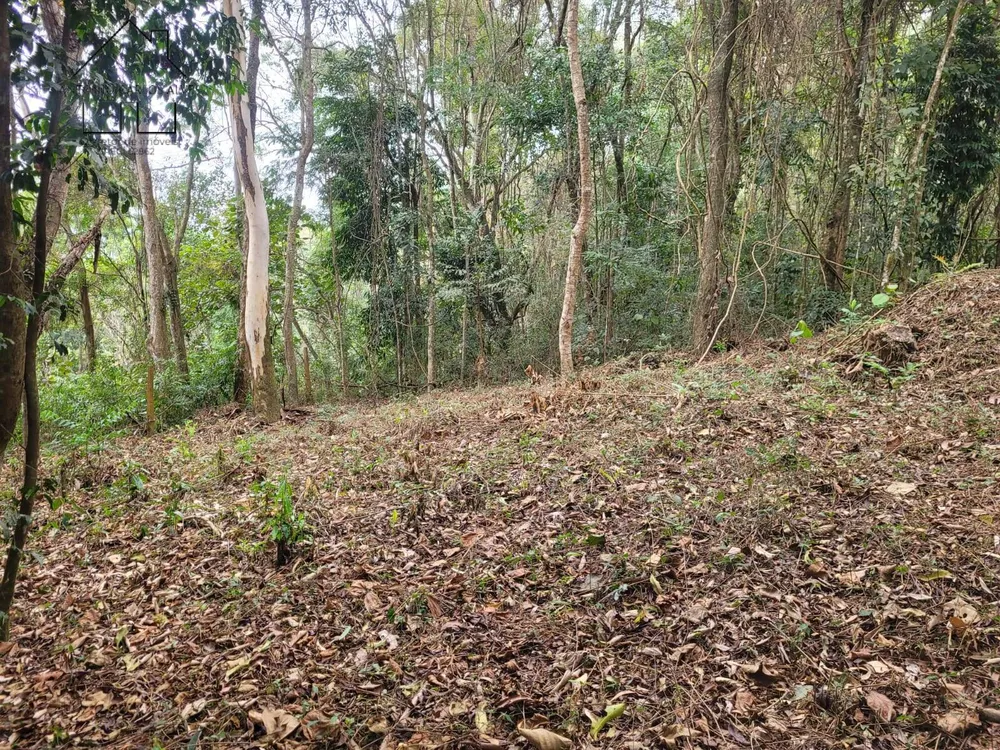 Terreno, 6 hectares - Foto 12