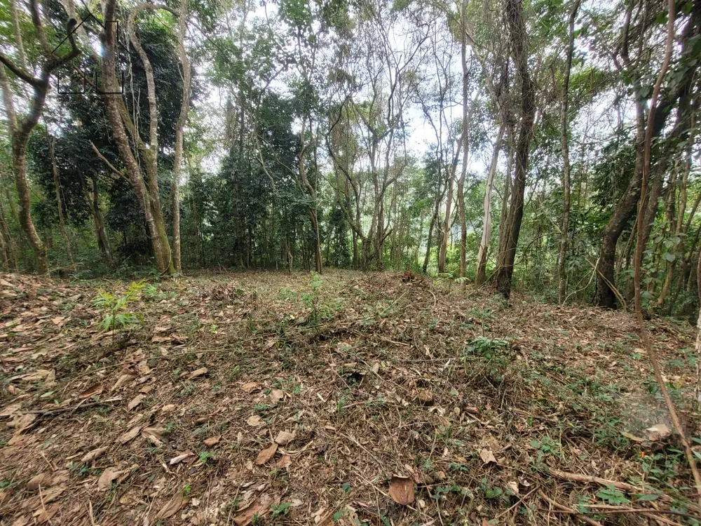Terreno, 6 hectares - Foto 10