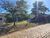 Terreno, 2000 m² - Foto 2