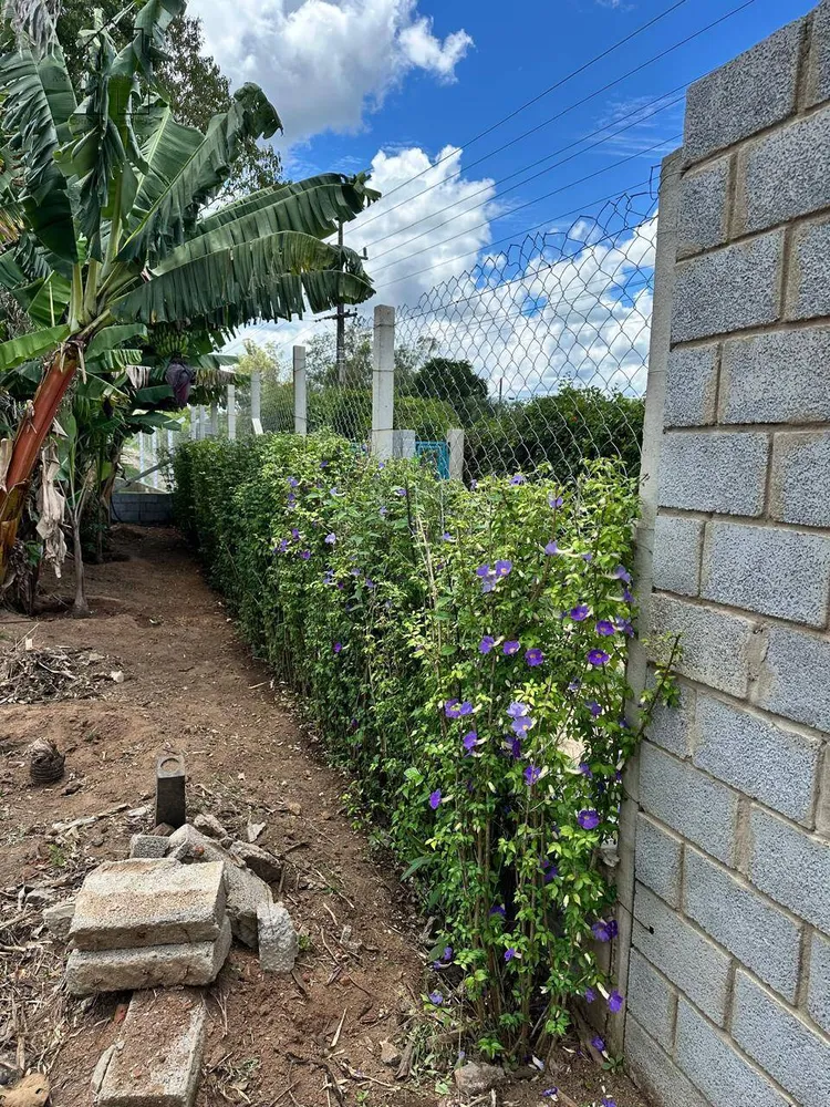 Terreno, 1100 m² - Foto 7