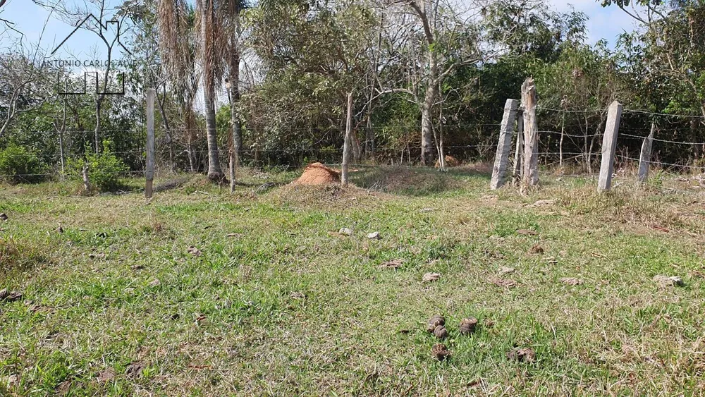 Terreno, 2 hectares - Foto 12