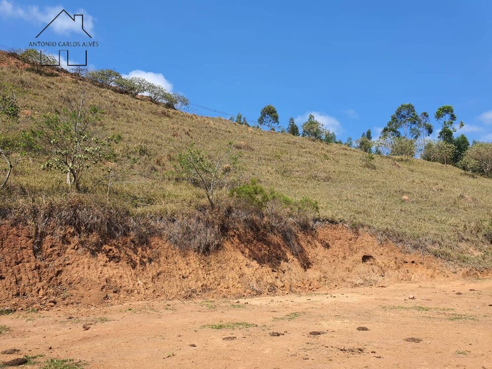 Terreno, 2 hectares - Foto 2