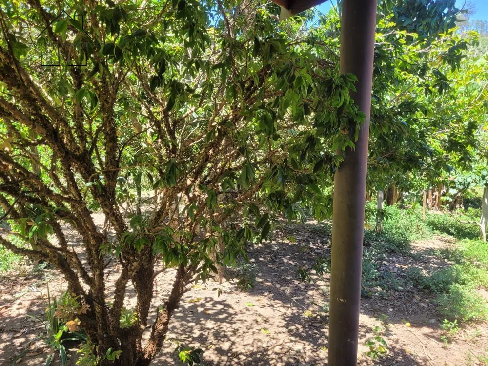 Sítio, 2 quartos, 3 hectares - Foto 3