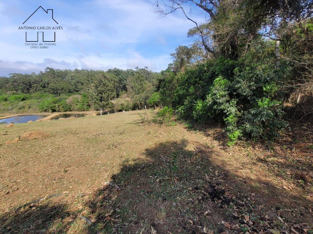 Terreno, 2 hectares - Foto 2