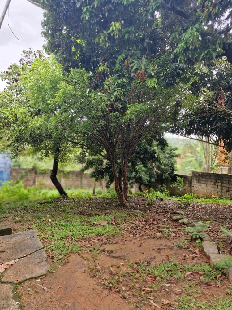 Chácara, 4 quartos, 1176 m² - Foto 7