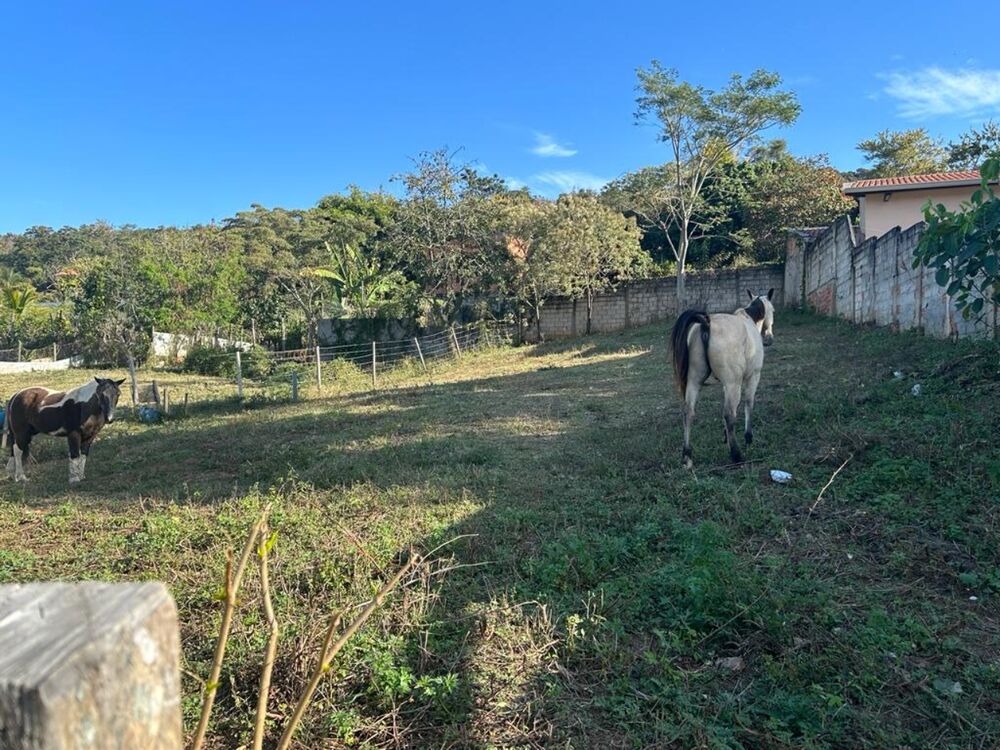 Terreno - Foto 2