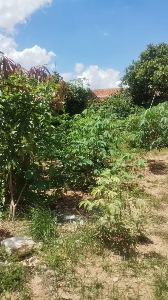 Terreno, 320 m² - Foto 4