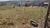 Terreno - Foto 3