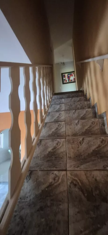 Casa, 5 quartos, 320 m² - Foto 10