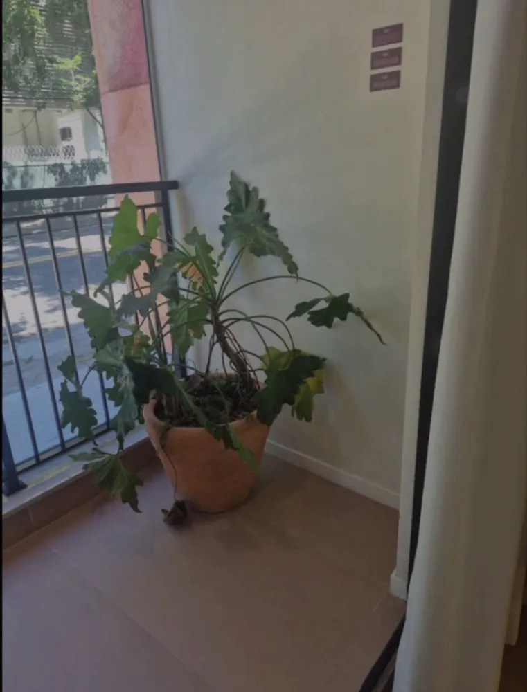Apartamento, 34 m² - Foto 14